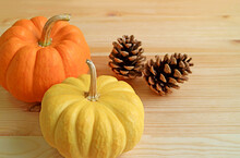 Pair Of Vibrant Color Ripe Pumpkins With Natural Dry Pine Cones Isolated On The Wooden Background