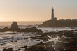 © Newman Photo - Pigeon Point Lighthouse during Sunset in California