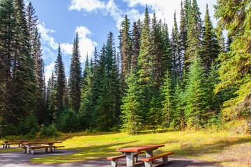 Sticker - Picnic tables in the forest