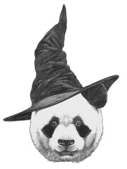 Wall Mural - Portrait of Panda with a witch hat. Halloween illustration