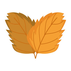 Sticker - autumn leaves foliage natural isolated icon design