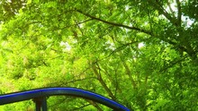 Miniature Rollercoaster Passes Beneath Tree Branches In Park
