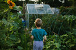 © Julia Forsman/Stocksy - Boy walks in a green and thriving kitchen garden.