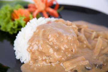 Wall Mural - Chicken in brown sauce with rice.