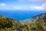 Fototapeta Natura - Kalalau Lookout, Na Pali Coast State Wilderness Park, Kauai, Hawaii