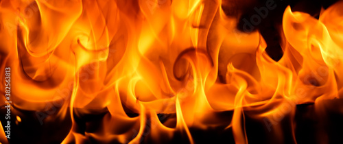 Fotomural Red blaze Fire flame on a black background