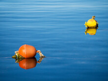 Orange And Yellow Buoy At The Sea