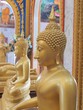 Bouddhas dorés de Thaïlande
