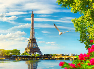 Fototapete - Seine in Paris with Eiffel Tower