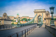 chain bridge and royal castle in budapest, hungary
