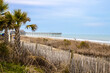 Myrtle Beach Oceanfront. Wide sandy beach with sea oats, palmetto trees and fishing pier at the horizon on the Golden Mile in South Carolina. 