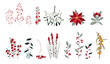Vector set of various winter plants and berries. Christmas floral collection. Winter design element. Hand-drawn flowers, herbs, branches and berries.