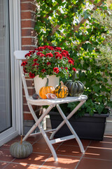 Thanksgiving decorated door with various size and shape pumpkins and chrysanthemum. Decoration for the Halloween, autumn seasonal still life. Selective focus.