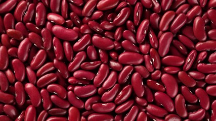 Wall Mural - red raw kidney beans top view rotating