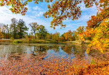 Pond In Alexander Park In Autumn, Pushkin (Tsarskoe Selo), Saint Petersburg, Russia