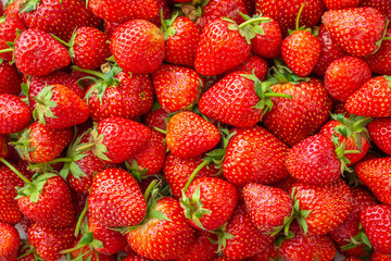 Wall Mural - Fresh organic Strawberry fruit background Top view closeup