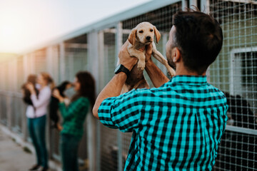 Wall Mural - Young nice looking couple wants to adopt beautiful dog at animal shelter.