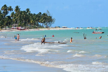 Wall Mural - maragogi - alagoas