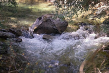 Stream In The Forest With A Boulder