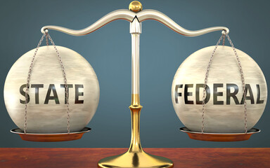 Wall Mural - state and federal staying in balance - pictured as a metal scale with weights and labels state and f