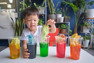 Asian kindergarten boy having fun making Rainbow Cabbage Experiment, Kid learn about how plants thrive by pulling water through its vein system