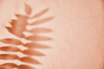 Wall Mural - Leaf shadow on pink background. Creative abstract background