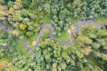 Wall Mural - Aerial top down view of winding river flowing through green forest