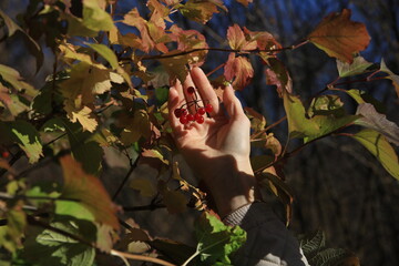 hands of the person and a person