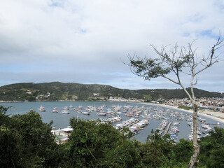 Wall Mural - view from the beach