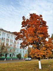 Wall Mural - autumn in the city