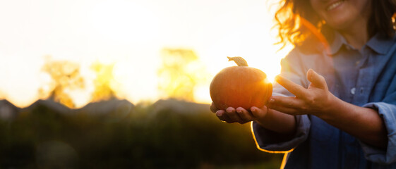 Poster - Woman farmer with pumpkin on a pumpkins field at sunset