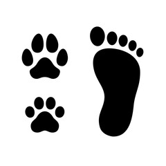 Wall Mural - Human foot with dog and cat paw