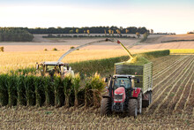Tractor In Field At Corn Harvest
