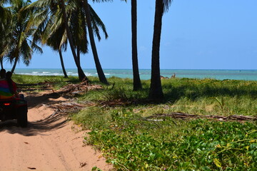 Poster - praia do gunga