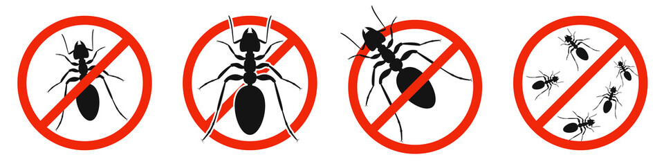 Wall Mural - The ants with red ban sign. STOP ants sign