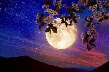 Wall Mural - Fantasy night. Blossoming cherry tree branch and starry sky with full moon on background
