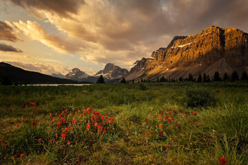 Wall Mural - Cloud and storm reflections over Bow Lake in Alberta,, Canada along the famous Icefield Parkway. Calm yet moody scene, tranquil isolation