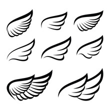 Wings. Set of Wing. Wing icon vector. Wing icon design illustration. Wing icon collection. Wing icons set. Wing logo.