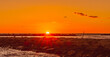 Spektakularny wschód słońca zaobserwowany z plaży w malutkim nadmorskim miasteczku Lido di Classe nad Adriatykiem we Włoszech.