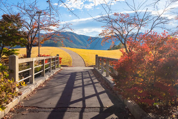 Wall Mural - Japan. Autumn in Kawaguchiko. The path goes off into the distance. A bridge with a stone railing and a path against the mountains. Fuji. Mountain landscape of Japan. Travel to Japan in autumn.