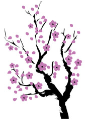 Wall Mural - cherry blossom lavender