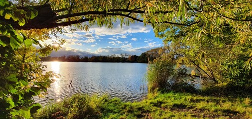  Autumn nature