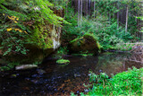 Fototapeta Sawanna - Wild summer Landscape around the Creek with Boulders and Rock in the Czech Switzerland, Czech Republic