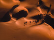 © AmazingAerialAgency - Aerial abstract view of camels and their shadows in the sand dunes of Abu Dhabi, United Arab Emirates.