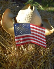 Sticker - American Flag and Cowboy Hat in Straw