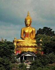 golden buddha statue