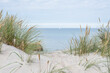© Stig Alenas - dunes with swaying beach rye and a sailboat at the horizon