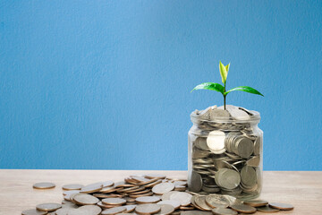 A small tree growing on a pile of coins in a jar. Represents an abstract concept of saving money.