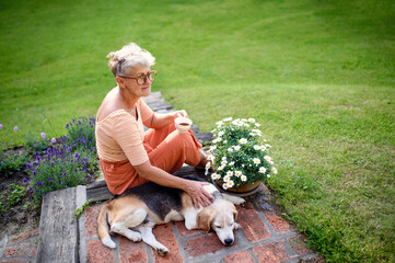 Wall Mural - Portrait of senior woman with pet dog sitting outdoors in garden, relaxing with coffee.