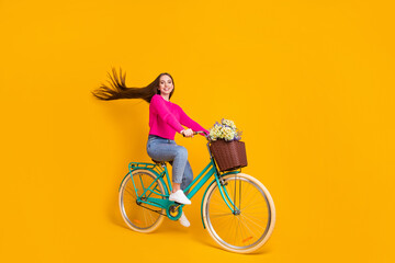 Sticker - Full length profile photo of pretty girl ride bicycle flowers basket wind blow hair wear pink sweater jeans isolated yellow color background